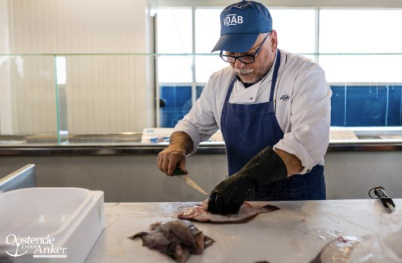 Demonstratie visfileren