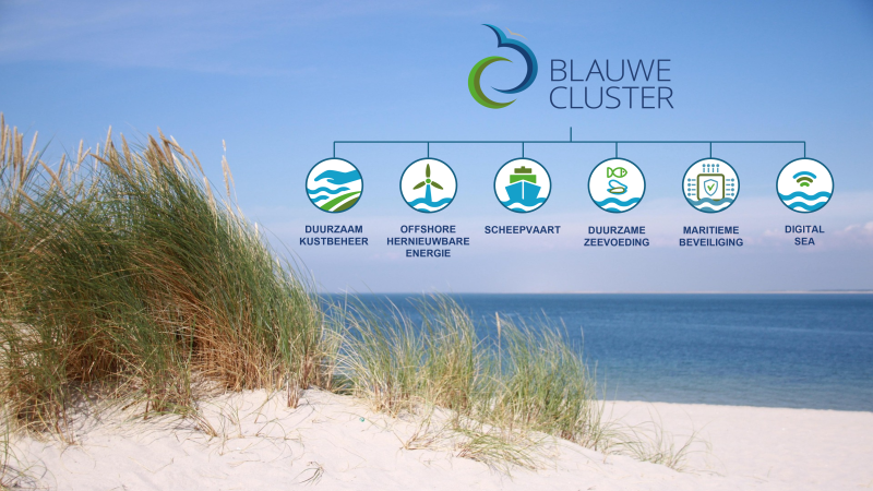 Blauwe Cluster met domeinen