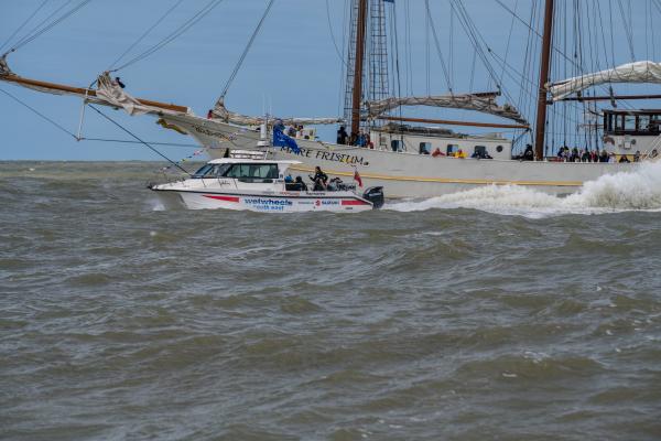 Mare Frisium en Wetwheels